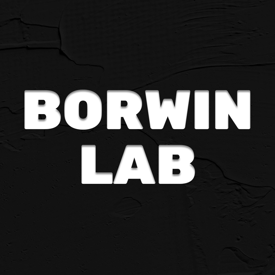 Курс индивидуального сопровождения "BorwinLab"